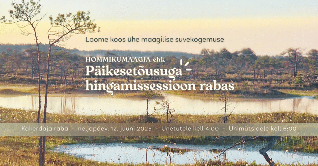 Päikesetõusuga hingamissesioon rabas