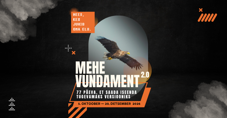 Mehe Vundament 2.0
